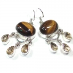 Tiger EYE